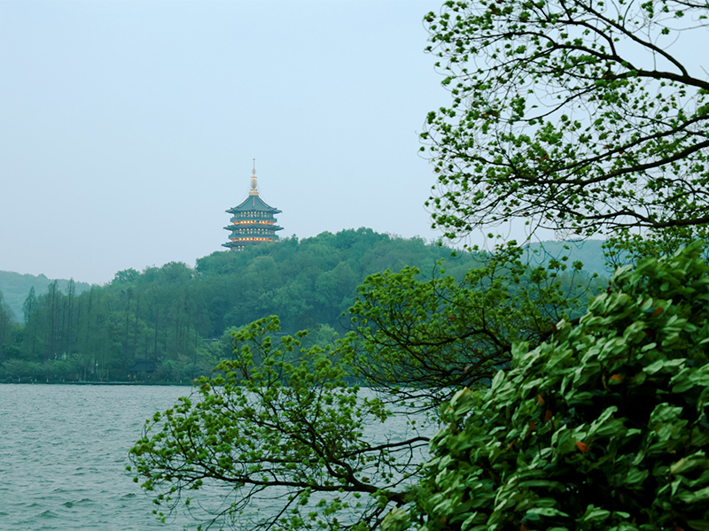 人文杭州，父母們來了！河南礦山第十三屆孝文化感恩旅游節(jié)第三站